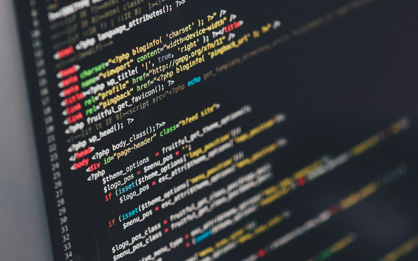 Developer & IT
